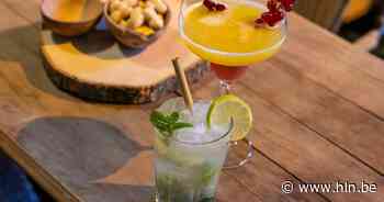 Braderie kan opnieuw doorgaan in Lebbeke | Lebbeke - Het Laatste Nieuws