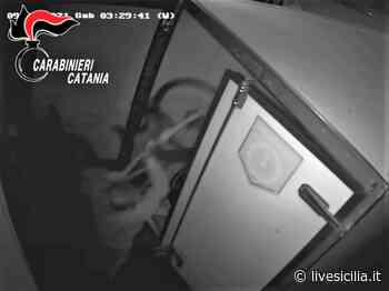 Catania, colpo nel negozio di bici VIDEO - Livesicilia.it