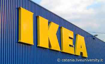 Lavoro Catania, da Leroy Merlin a Ikea: le posizioni aperte - Liveunict | Magazine sull'Università di Catania