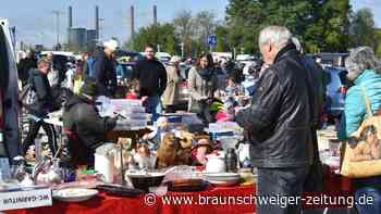 Flohmarkt in Wolfsburg: Heute wird im Allerpark getrödelt