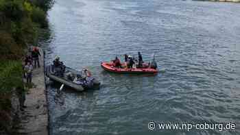 Tiere - Geschwächter Belugawal in der Seine - Neue Presse Coburg