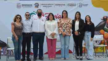 Realiza gobierno de Ensenada la Feria “Nutriendo cuerpo, corazón y mente” - El Vigia.net