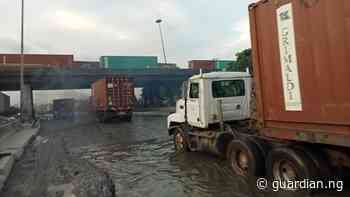 Logistics experts chart path to effective intermodal transport system - Guardian Nigeria