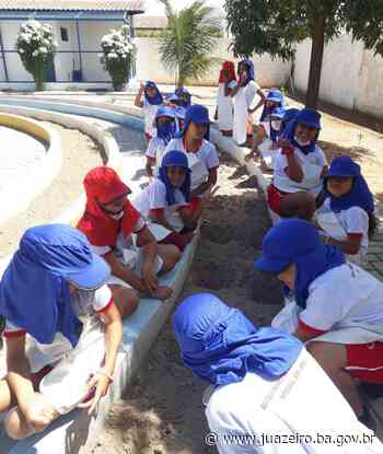 Alunos de escola do interior de Juazeiro aprendem sobre sustentabilidade através do cultivo de horta - Prefeitura de Juazeiro (.gov)