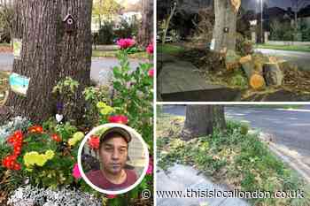 Bromley Council destroys Beckenham Guerrilla Garden for second time