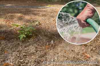 Londoners who would grass on their neighbour if there was a hosepipe ban