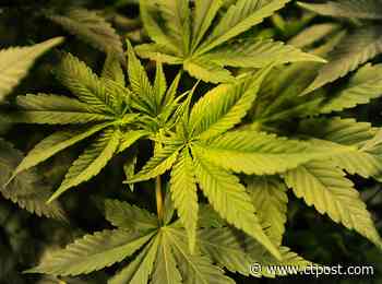 Fred McKinney (opinion): Ensuring social equity takes work - CTPost