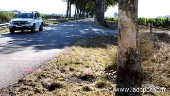 Carcassonne. Le saisonnier se tue sur la route en allant travailler dans les vignes - LaDepeche.fr