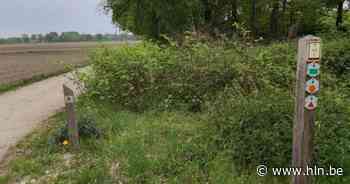 Elke 'jubileumdeelnemer' van BoslandTrail krijgt eigen boom in unieke dreef: “De beleving wordt zo nog versterkt!” - Het Laatste Nieuws