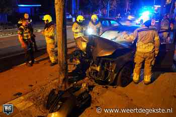 Auto frontaal tegen boom na botsing op Maaseikerweg - Weertdegekste.nl