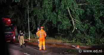 Grote tak breekt van boom af tijdens hoosbui in Deurne, brandweer verwijdert tak met hoogwerker - Eindhovens Dagblad