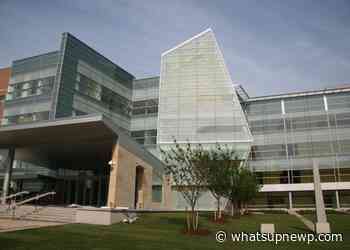 Counties with the most born-and-bred residents in Rhode Island - What'sUpNewp