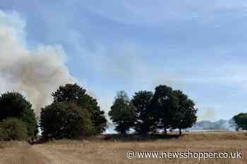 Woolwich Common fire: Scrubland destroyed