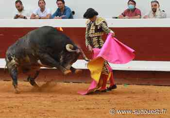 Corridas de Dax : Daniel Luque très attendu en solo - Sud Ouest