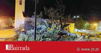 Queda de sobreiro centenário provoca estragos na Capela de Chipar de Cima - Jornal da Bairrada