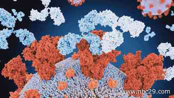 Buckingham County making efforts to improve COVID-19 rates - NBC 29