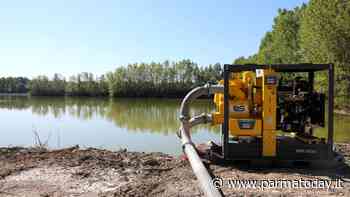 Bonifica Parmense, dalla cassa di espansione dell’Enza la risorsa per l’agricoltura e l’ecosistema del comprensorio dello Spelta - ParmaToday