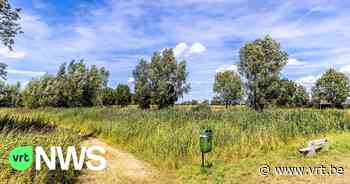 Anzegem vraagt overheid om onderhoud van wachtbekkens betaalbaar te maken - VRT NWS