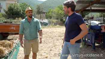 VIAGGIO IN ABRUZZO: ALLA SCOPERTA DELL'AGLIO ROSSO DI SULMONA - Virtù Quotidiane - Il quotidiano enogastronomico abruzzese - Virtù Quotidiane