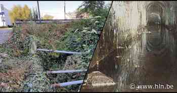 Dringend: aannemer steekt vanaf maandag nieuwe sifon onder kanaal Leuven-Dijle - Het Laatste Nieuws