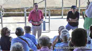 "Abboniamoci in massa" Vis, la carica dei tifosi - il Resto del Carlino