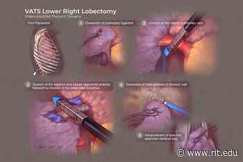 RIT medical illustration MFA program awarded initial accreditation | RIT - Rochester Institute of Technology