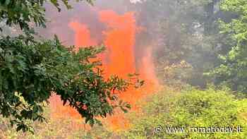 Bruciano 5 ettari del patrimonio Unesco del Monte Raschio, gravi danni al parco naturale regionale