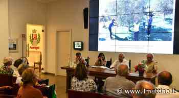 Capri e l'ulivo, un legame che risale nei secoli - ilmattino.it