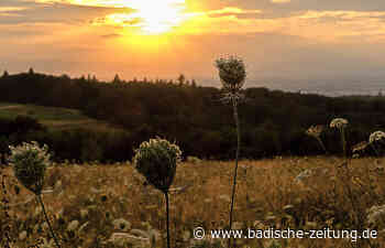 Sonnenuntergang auf dem Langenhard - Lahr - badische-zeitung.de