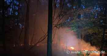 Forst warnt eindringlich vor Waldbrandgefahr - Karlsruhe - DIE RHEINPFALZ - Rheinpfalz.de
