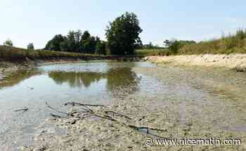 Quotas, tarifs progressifs, irrigation raisonnée... Quelles pistes pour préserver l'eau?