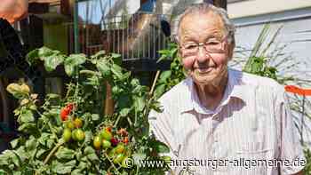 Kurt Lindner freut sich über eine reiche Tomaten-Ernte
