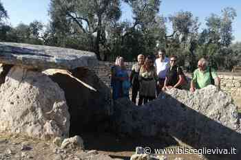 Incontro Club UNESCO Bisceglie-Università di Pisa - BisceglieViva