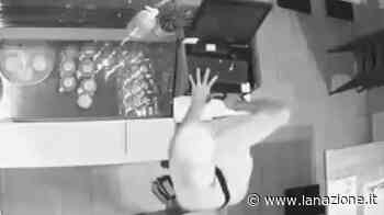 Pisa, incubo furti: raid in pizzeria, ladro sfonda cassa. Telecamera lo filma / VIDEO - LA NAZIONE