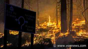 Study: Wildfires Are Destroying California's Forest Carbon Credit Reserves - Voice of America - VOA News