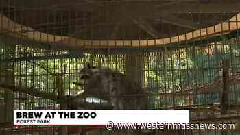 The Zoo at Forest Park hosts Brew at the Zoo event - Western Massachusetts News