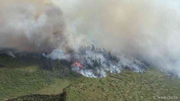 N.L. government declares state of emergency as forest fires rage - CBC.ca