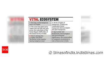 State to hire agency to audit mangroves: Forest minister - Times of India