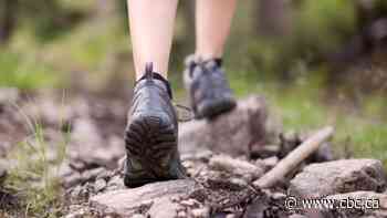 Sudbury's 2022 Camino Challenge a 'fully immersed' forest experience - CBC.ca
