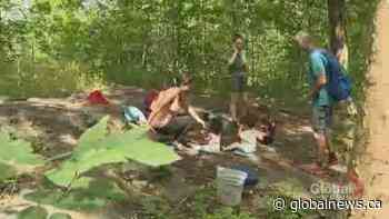 Mont-Royal’s Forest School for Families - Global News