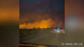 Forest fire burns along Bay d'Espoir Highway - CBC.ca