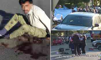 Stabbing Merrylands: Sydney man fighting for life after being knifed - Daily Mail