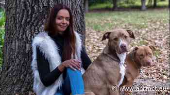 Man charged with murder after woman's body found in Sydney bushland - ABC News