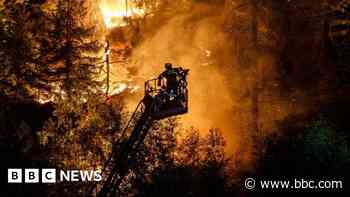 Czech forest fire smoke drifts across country - BBC