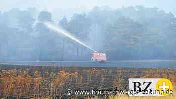 Gelöschter Waldbrand bei Rieseberg bleibt unter Kontrolle