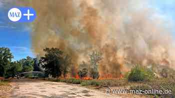 Wittenberge: Brand an der Wahrenberger Fähre - Märkische Allgemeine Zeitung