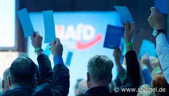 Bundesparteitag der AfD in Riesa: Berliner Delegierte müssen draußen bleiben - DER SPIEGEL