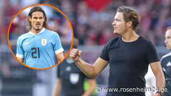 Edinson Cavani im BVB-Fokus: Edin Terzic nimmt Stellung