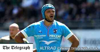 Exclusive: Gloucester to sign Zach Mercer ahead of 2023 World Cup - The Telegraph