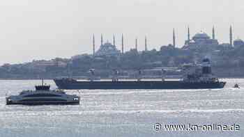 Vier weitere Getreideschiffe dürfen ukrainische Häfen verlassen